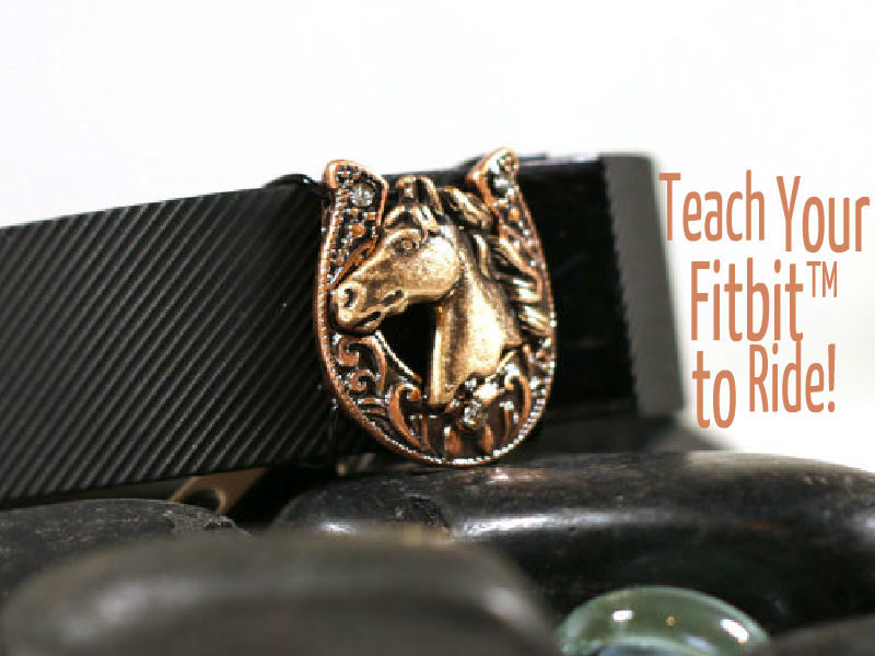 Teach Your Fitbit™ to Ride!