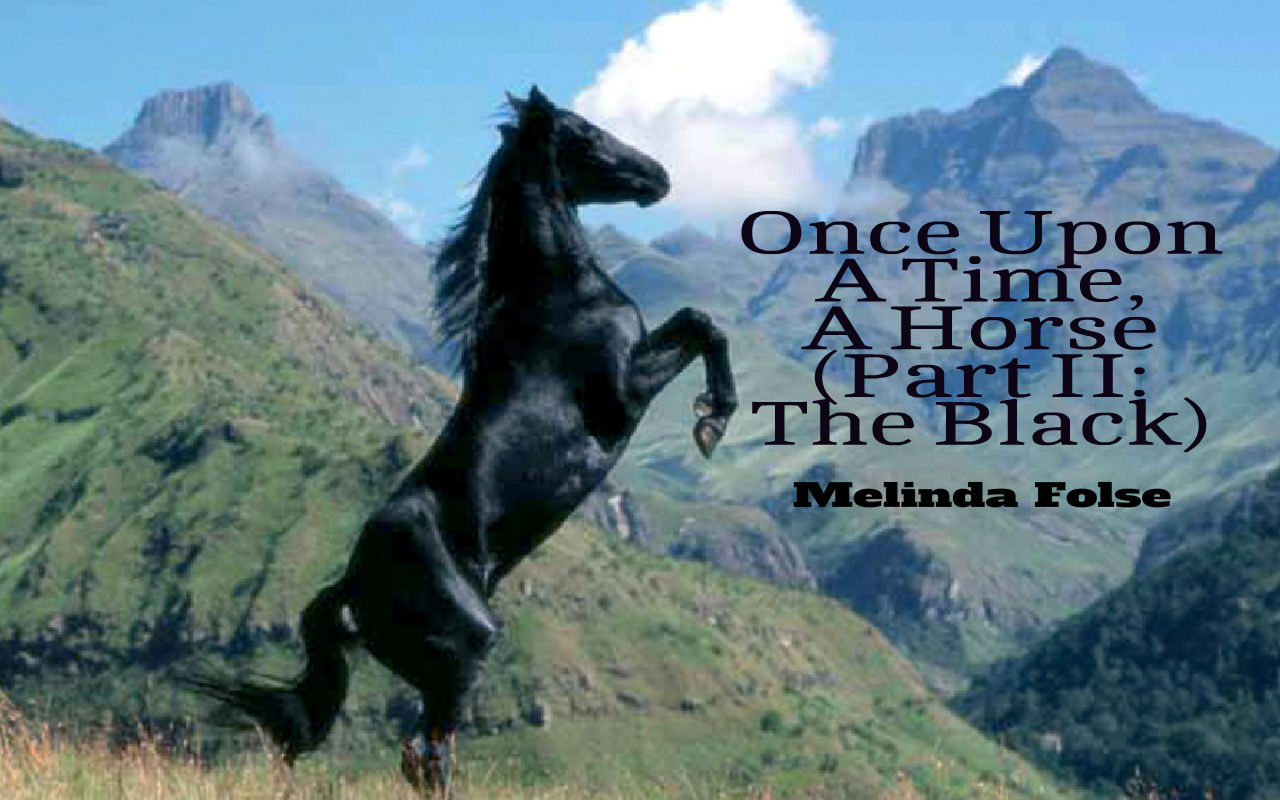 Once Upon A Time, A Horse (Part II: The Black)
